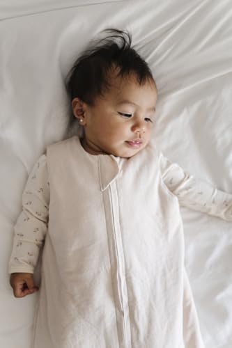 Image of Ely's & Co. Winter Sleep Sack, Wearable Blanket with Soft Quilting, Transitional Swaddle for Baby Boy /Girl, 1.0 TOG