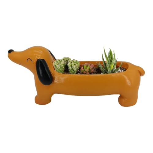 Pot de en Forme de Chien teckel pour décorer le jardin - 2