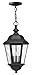 Outdoor Edgewater 1672BK-LL