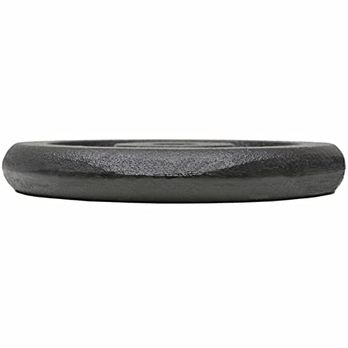 Tidyard Gewichtsschijven, gewichtsplaten, 4 x 5 kg, van gietijzer, halterschijven 20 kg, reservegewicht voor fitnessstudio, gewichtsschijven, gewichtsschijven 20 kg, halterschijven 20 kg - Afbeelding 5