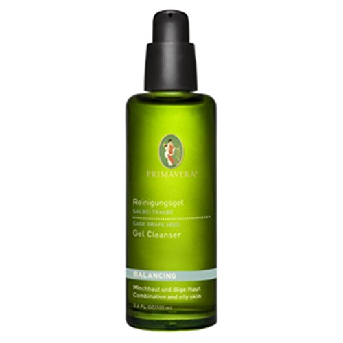 Preisvergleich Produktbild SALBEI TRAUBE Reinigungsgel 100 ml Gel