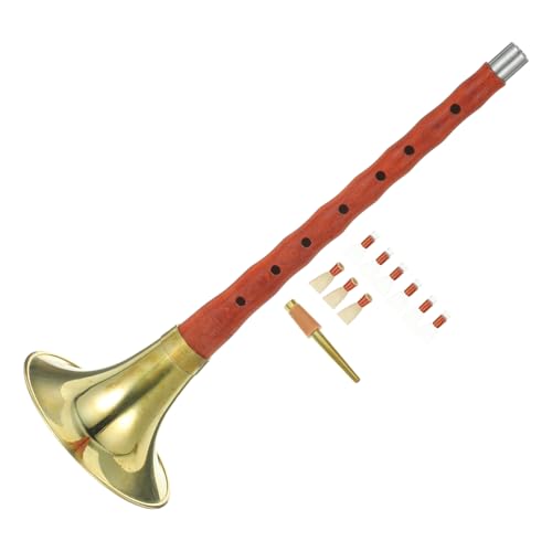 NOLITOY Beginner's Suona Horn Wind Instruments for Practice Chinese Instrument Craftsmanship Random