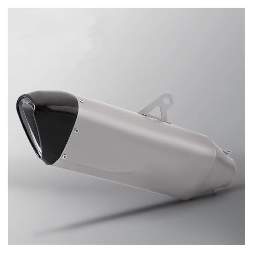 Tuyau d'échappement en acier inoxydable et carbone premium pour BMW S1000RR 2019-2025