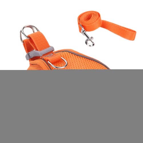 Lbg EH[LO n[lX,Lbgn[lX [hZbg - ^ ^ ^ ybg xXgJ[ oR Lv AEghAp