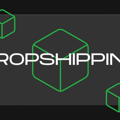 Couverture de DROPSHIPPING FOR BEGINNERS WORKS I HOW TO GENERATE ORGANIC TRAFFIC