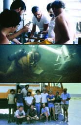 Travels with Seagrass: The Memoirs of Prof. Ronald C. Phillips