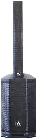 CA-12A – Active Column Array System