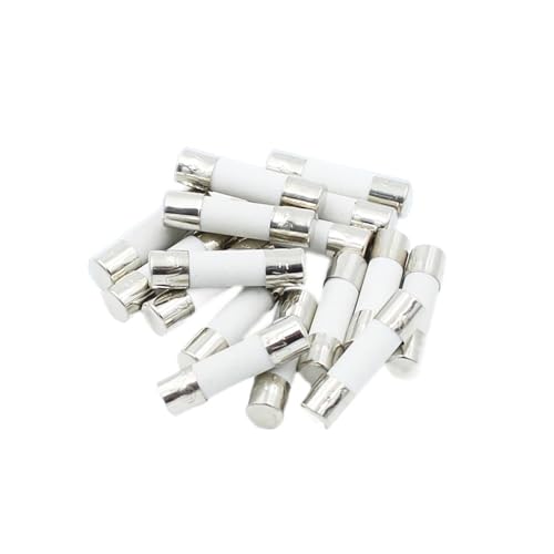 Fusibles céramiques 5x20mm 25A 100V pour la protection de vos circuits