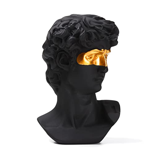 ❀ Uso del prodotto: la statua di David può essere posizionata nella tua stanza, ufficio, negozio o sala studio per rinfrescare il fascino decorativo di spazi brevi. Anche un buon regalo e collezione personale. Non importa da quale punto di vista, è un'opera d'arte. Può essere utilizzato anche per decorare la tua stanza mitologica romana o greca.