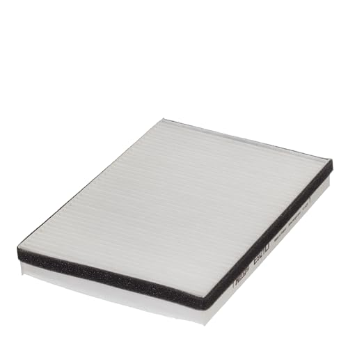 Calefacción Hen E921LI con regulador térmico para un calor uniforme y acogedor