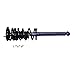 Monroe 181281 Econo-Matic Complete Strut Assembly
