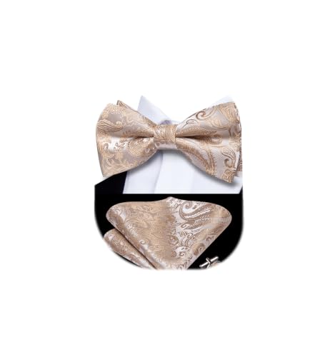 Image of Dubulle Mens Paisley Striped Bowtie Set Pre-tied Bowtie for Men and Pocket Square Set Wedding Business