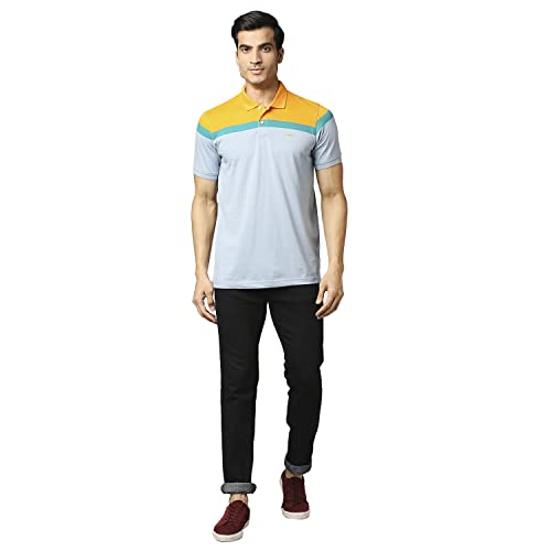 Image of Park Avenue Men's Cotton Polyester Blend Stripe Pattern Slim Fit Rib Collar Polo Neck Half Sleeve Casual T-Shirt