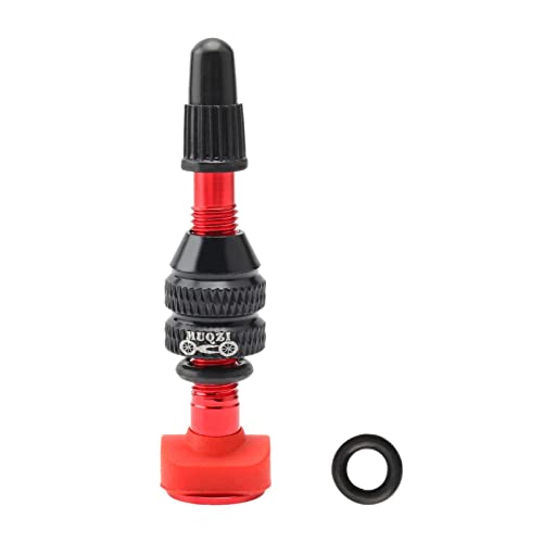 Vástago de válvula tubeless para conversión de ruedas de bicicleta en rutas y terrenos técnicos