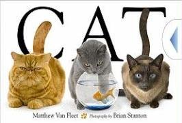 By Matthew Van Fleet Cat (Hardcover) February 10, 2009