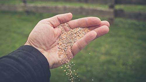 Substral Rasendünger, mit Langzeitwirkung, 100 Tage Langzeitdüngung, mit umhüllten Langzeitstickstoff, für 750 m², 15 kg - Image 4