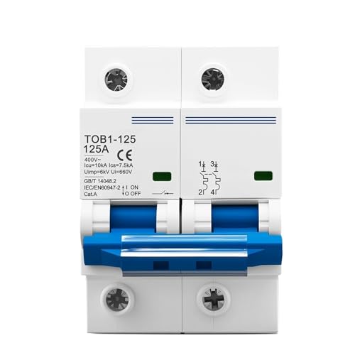 Disjoncteur 2P 125A TOB1-125 bipolaire AC 220V 400V à déclenchement sûr