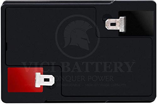 VICI Battery VB4.5-6 for Panasonic LCR6V4P
