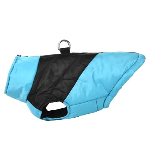 nClbNfUC~gWPbgWbp[thhuhbOČViEU[pOR[g,,XS