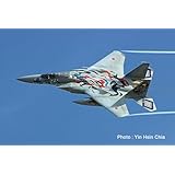 プラッツ 1/72 航空自衛隊 F-15J イーグル 第306飛行隊 2025 小松基地航空祭 記念塗装機 プラモデル AC-108 (飛行機)