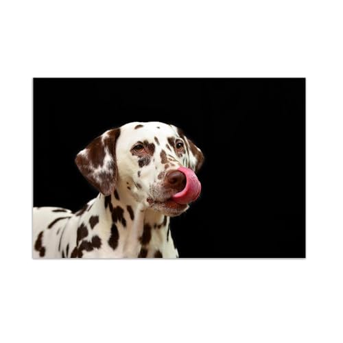 Affiche toile peinture animal noir et blanc | Décoration moderne tableau chien fleur