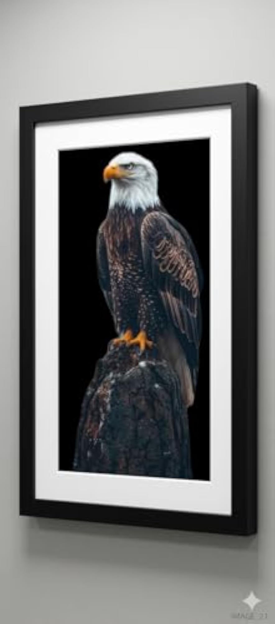 Bald Eagle Perched on Rock Wall Art Photo Frame, Black Frame