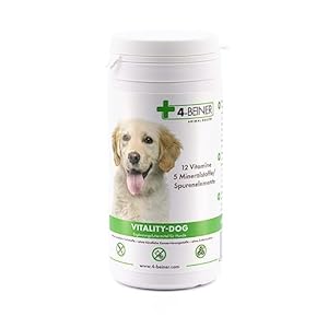 4-BEINER Vitality-Dog: 12 multivitamines pour Chiens, Complexe de vitamines B, vitamines A, C, E, D, Acide folique, biotine, minéraux Zinc, Fer, manganèse, 100 comprimés