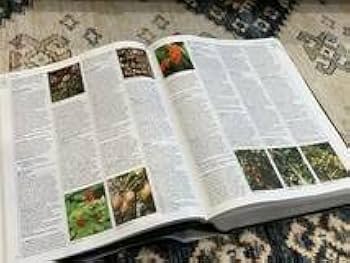 A-Z園芸植物百科事典 Amazon.co.jp: A-Z園芸植物百科事典 英国王立園芸協会