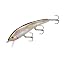 Cold Water Shad