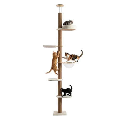 Avilia - Albero Tiragraffi a Soffitto Regolabile 260-300 cm – Torre Verticale Salvaspazio per Gatti con Amaca a Cupola e Cuccia – Palo Tiragraffi in Legno e Juta Naturale – Design a Colonna