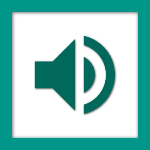 Volume Control - Bottom Screen