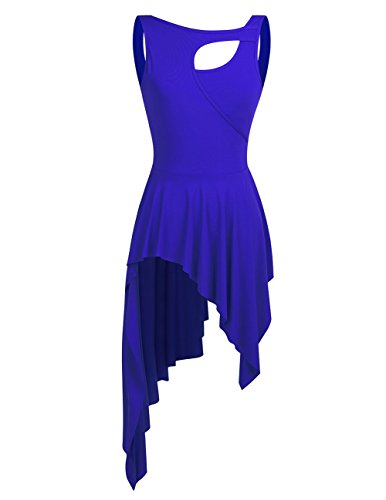 Freebily Vestido Maillot de Danza Ballet Tutú para Mujer Chica Vestido de Princesa Fiesta Actuación Azul S
