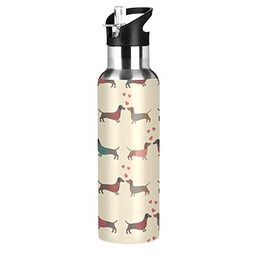 xigua Water Bottle with Straw Lid Leakproof Vacuum Insulated Stainless Steel Dachshund Dogs Pattern Sport Water Bottles 20 oz