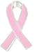 Breast Cancer Awareness Pins 3/4in x 1/2in 2ct