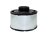 Air Filter PA2827 for Baldwin