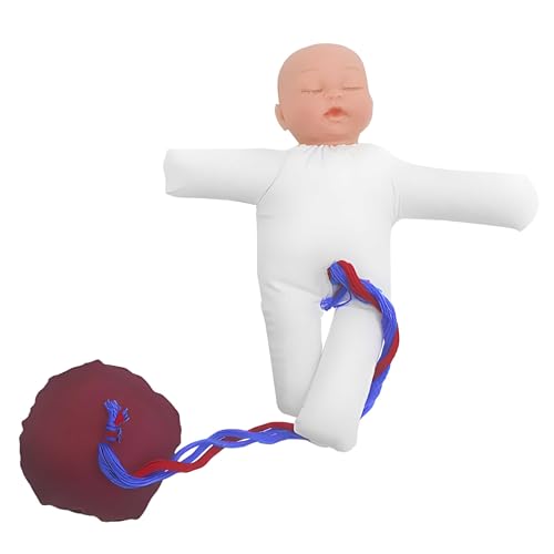 Modèle de naissance pour simulation réaliste AMITD évitant les erreurs de manipulation