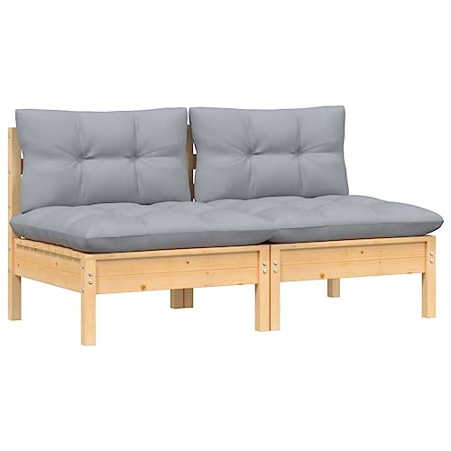 vidaXL Gartensofa 2-Sitzer, Gartenmöbel 2 Mittelsofa mit Grauen...
