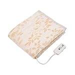 コイズミの暖房器具 KDK-7589CT