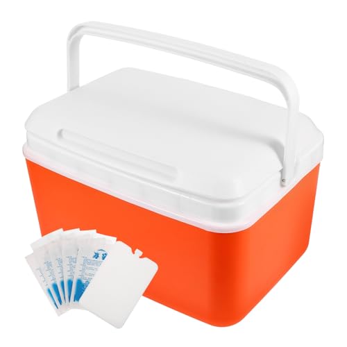 BESPORTBLE Refrigerated Car Cooler Portable Insulated Box Picnic Cooling Bag Outdoor Fridge Cooler