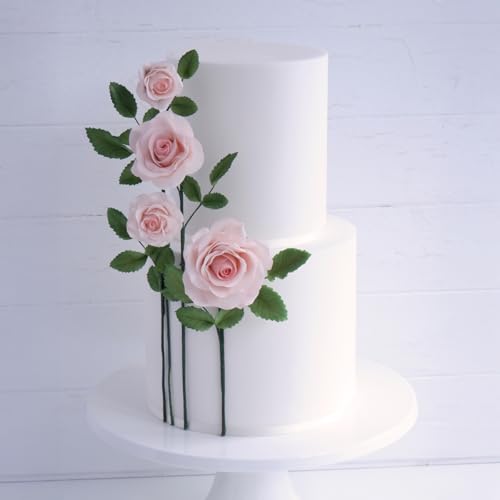 Flower Pro Ultimate Petal Veiner Silicone Mold. A Front & Back Petal Veiner for Use with Fondant, Gum Paste, Sugar Paste & Air Dry Clay from Katy Sue Silicone Molds