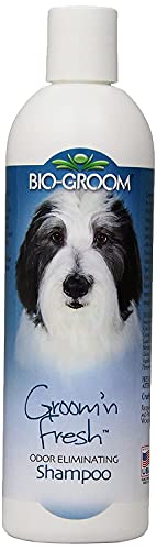 Image of Biogroom Groom N Fresh Odour Eliminating Conditioning Sulfate-Free Dog Grooming Shampoo Unique Fragrance of Finest Perfume Oils for Healing, Soothing and Hydrating Dog Coat, 355ml | Sulfate-free deodorizing shampoo for a fresh, clean, and healthy coat.