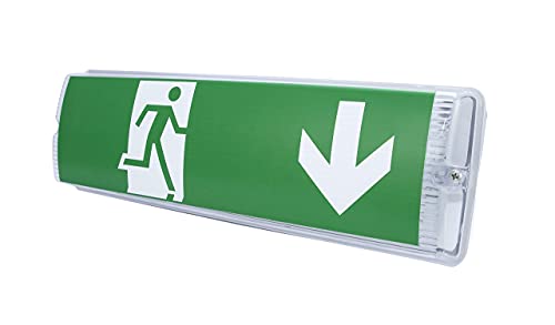 Éclairage LED pour sortie de secours bloc autonome évacuation ERP