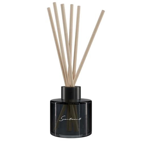 Scentiment Day Dream Reed Diffuser - Black Glass | 100ml | Long-Lasting Home Fragrance | Includes Reed Sticks & 120ml Day Dream Reed Diffuser Oil