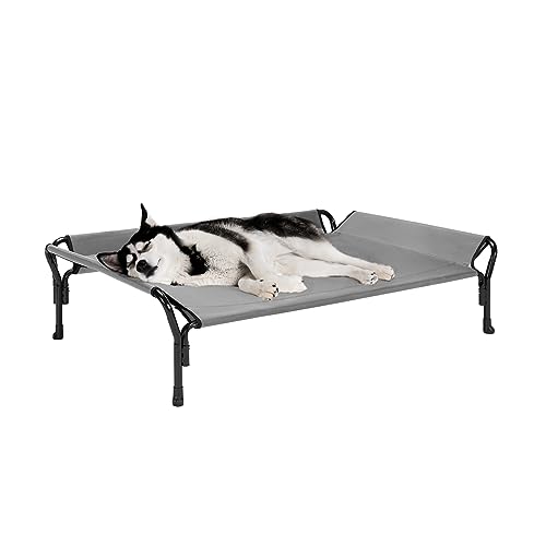 10 Best Dog Bed Husky