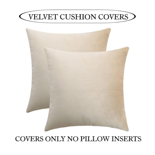 Image of Amazon Brand - Umi Velvet Decorative Cushion Cover 16x16 Inch - Set of 5, Soft Solid Square Throw Pillow Covers for Sofa, Living Room or Home Decor - 40x40 cm in Beige Color