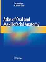 健康+医学 Atlas of Oral and Maxillofacial Surgery Atlas of Oral and Maxillofacial Surgery - 2 Volume SET