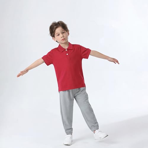 Image of Boy Polo Shirt Pique School Uniform Shirt for Kid Golf Top Youth Boy 5-14Y