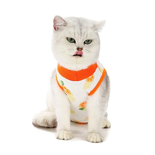 Roupas para gatos, animais de estimação após cirurgia, colete para gatos, estilo fruta, tecido de re