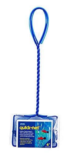 Penn Plax Aquarium Fish Net â Aqua Blue Quick Catch Mesh Wire Net Safe for All Fish â 4 Inches