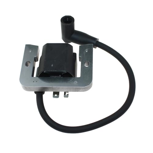 Module d'allumage pour moteur CH22 CH25 CV22 CV25 remplace 2458415-S